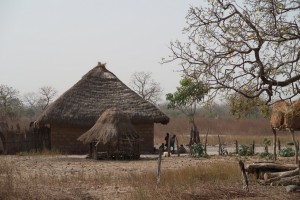Gambia-traditional-houses