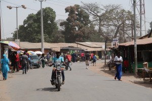 What-you-can-see-in-Gambia