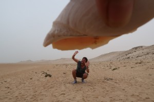 playing-shelfs-western-sahara
