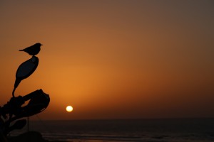 sunset-western-sahara